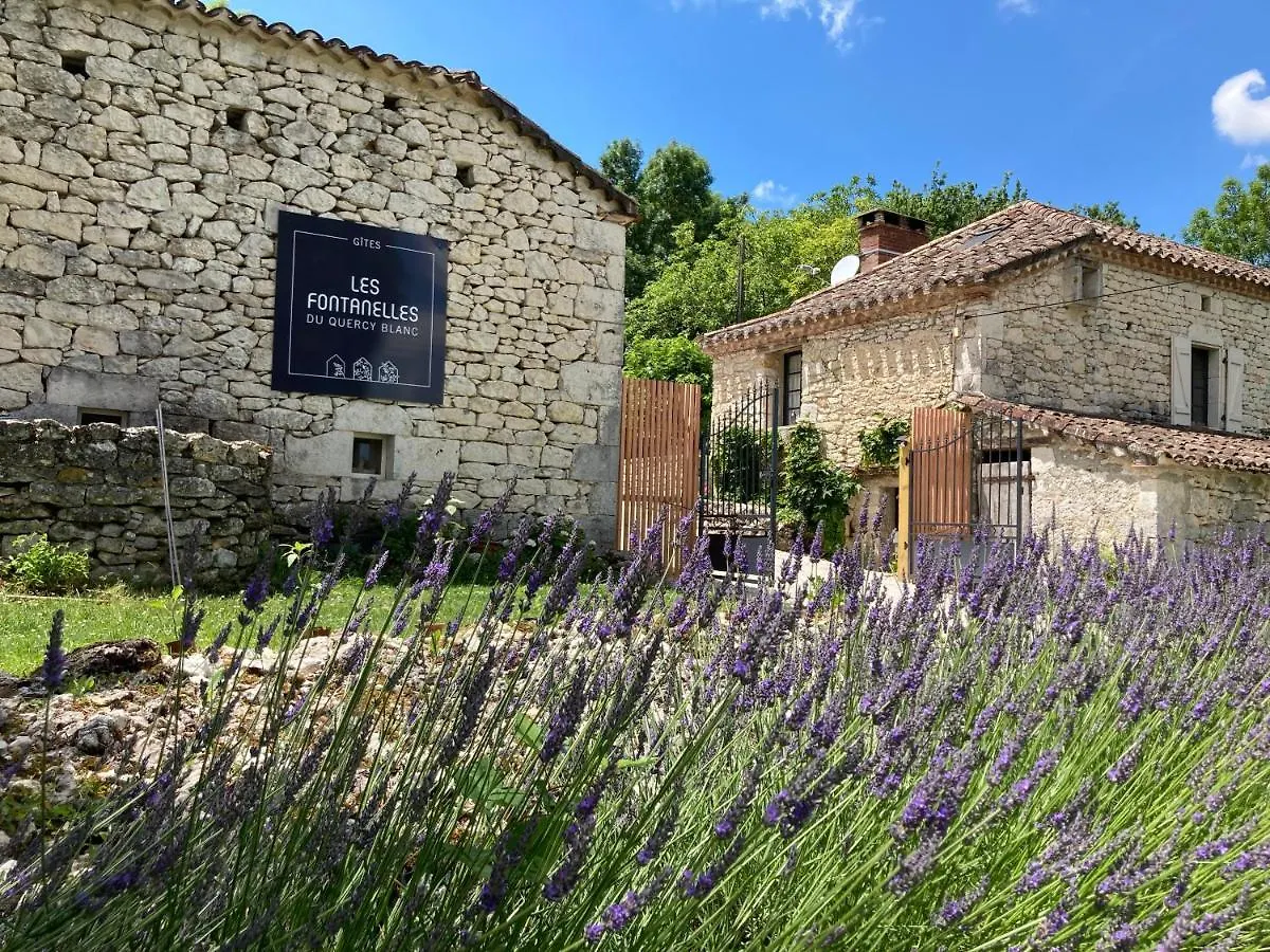 Hébergement de vacances Villa Les fontanelles du quercy blanc à Montcuq France