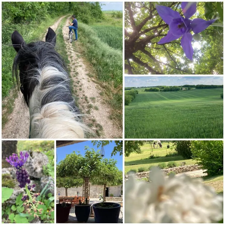 Villa Les fontanelles du quercy blanc à Montcuq Hébergement de vacances